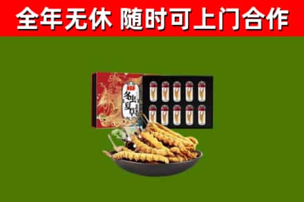 汤阴县回收冬虫夏草价格